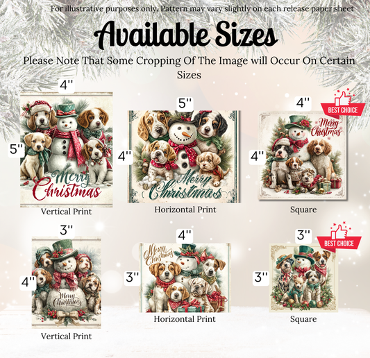 a group of dogs wearing christmas hats and scarfs