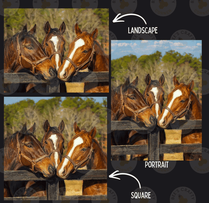 The image is a collage of three pictures showing three horses standing next to a wooden fence. The first two pictures are landscapes, and the third picture is a portrait.
