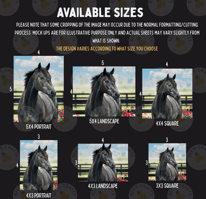 six different sizes of a black horse portrait, with each size represented by a corresponding image. The sizes are labeled from 3x3 to 5x5, and the images vary in their composition and framing.