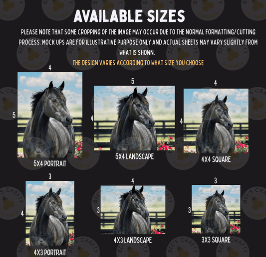 six different sizes of a black horse portrait, with each size represented by a corresponding image. The sizes are labeled from 3x3 to 5x5, and the images vary in their composition and framing.