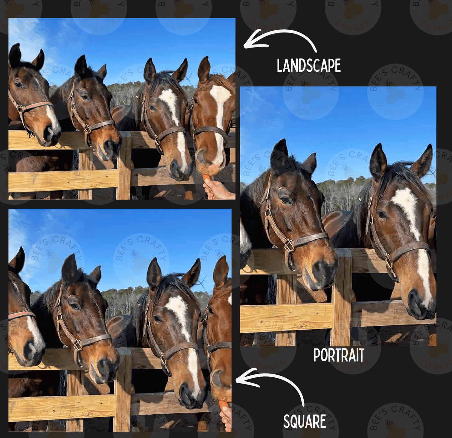 The image is a collage of three photos featuring horses. In the top left photo, the horses are standing behind a wooden fence, and in the top right photo, the horses are standing in a field. The bottom photo shows the horses looking over the fence, and the bottom right photo shows the horses looking at the camera. The image is labeled "LANDSCAPE" and "PORTRAIT" to indicate the different types of images within the collage.