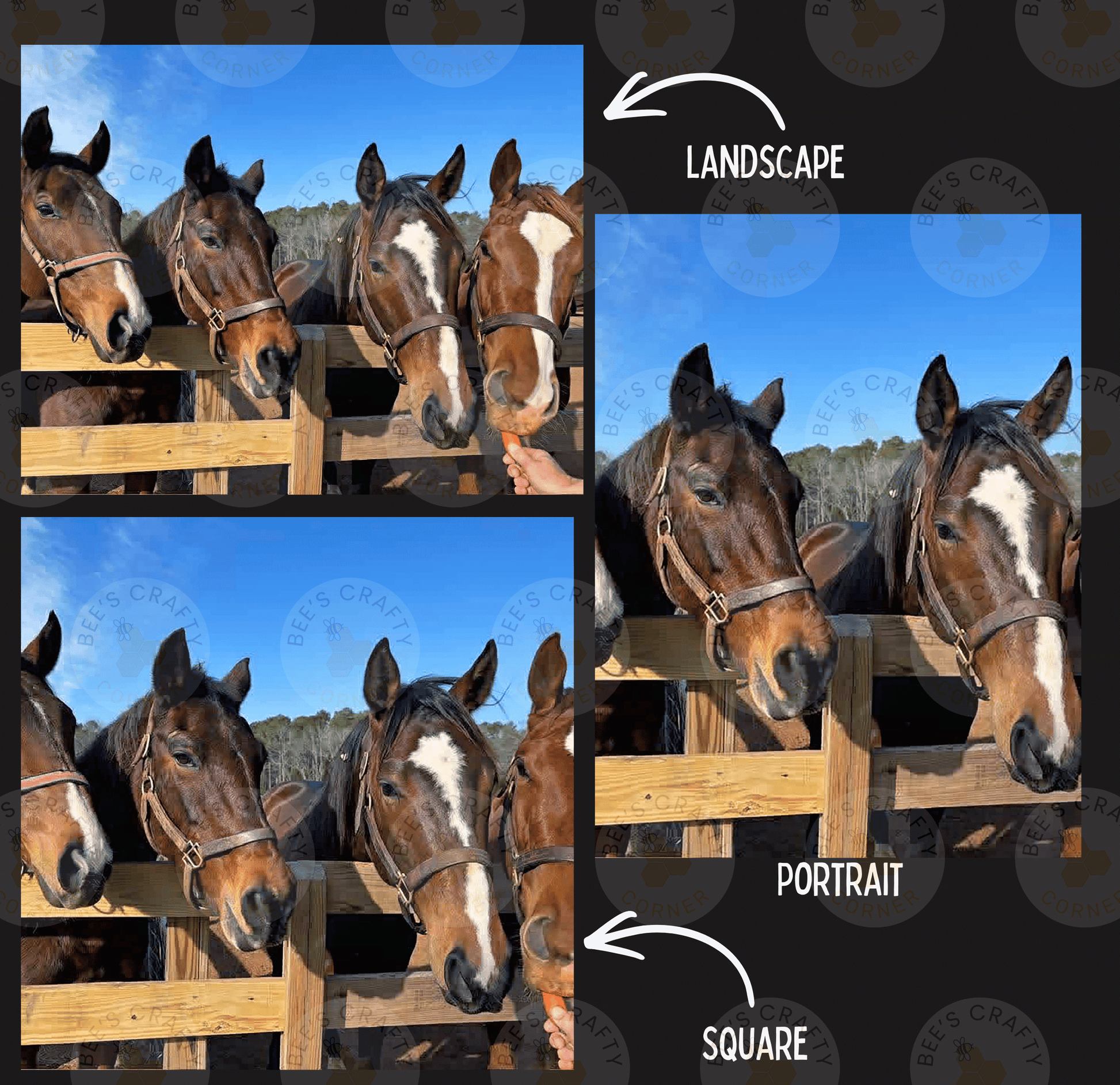The image is a collage of three photos featuring horses. In the top left photo, the horses are standing behind a wooden fence, and in the top right photo, the horses are standing in a field. The bottom photo shows the horses looking over the fence, and the bottom right photo shows the horses looking at the camera. The image is labeled "LANDSCAPE" and "PORTRAIT" to indicate the different types of images within the collage.