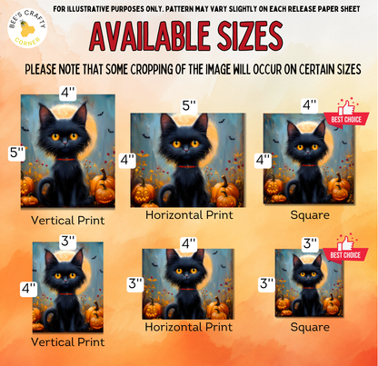 The image is a collage of six images featuring a black cat with a pumpkin background, each with a different size and orientation.