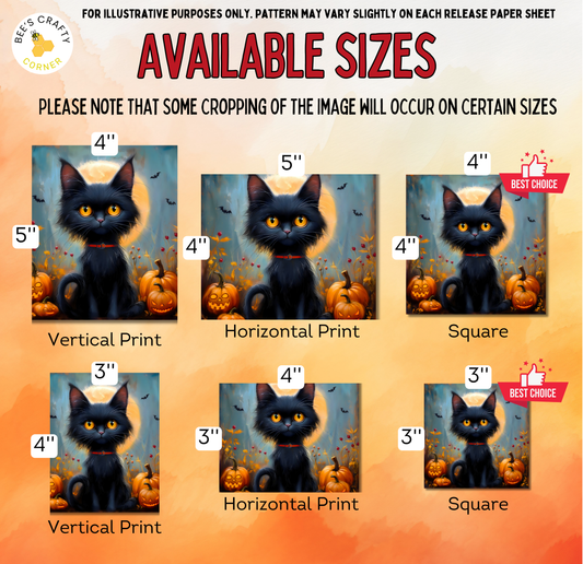 The image is a collage of six images featuring a black cat with a pumpkin background, each with a different size and orientation.