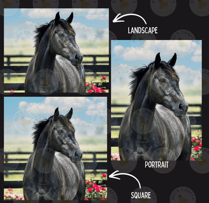 The image is a collage of three pictures depicting a black horse in different settings. The first picture shows the horse standing in a field with flowers, the second picture shows the horse in a more detailed portrait, and the third picture shows the horse in a square format.