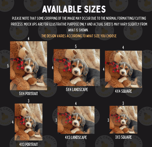 The image is a collage of six different sizes of photographs, each featuring a small dog cuddling with a stuffed animal. The images vary in size, from small square photographs to larger landscape photographs. The collage is designed to showcase the different sizes of the images, allowing viewers to choose the size that best suits their needs.