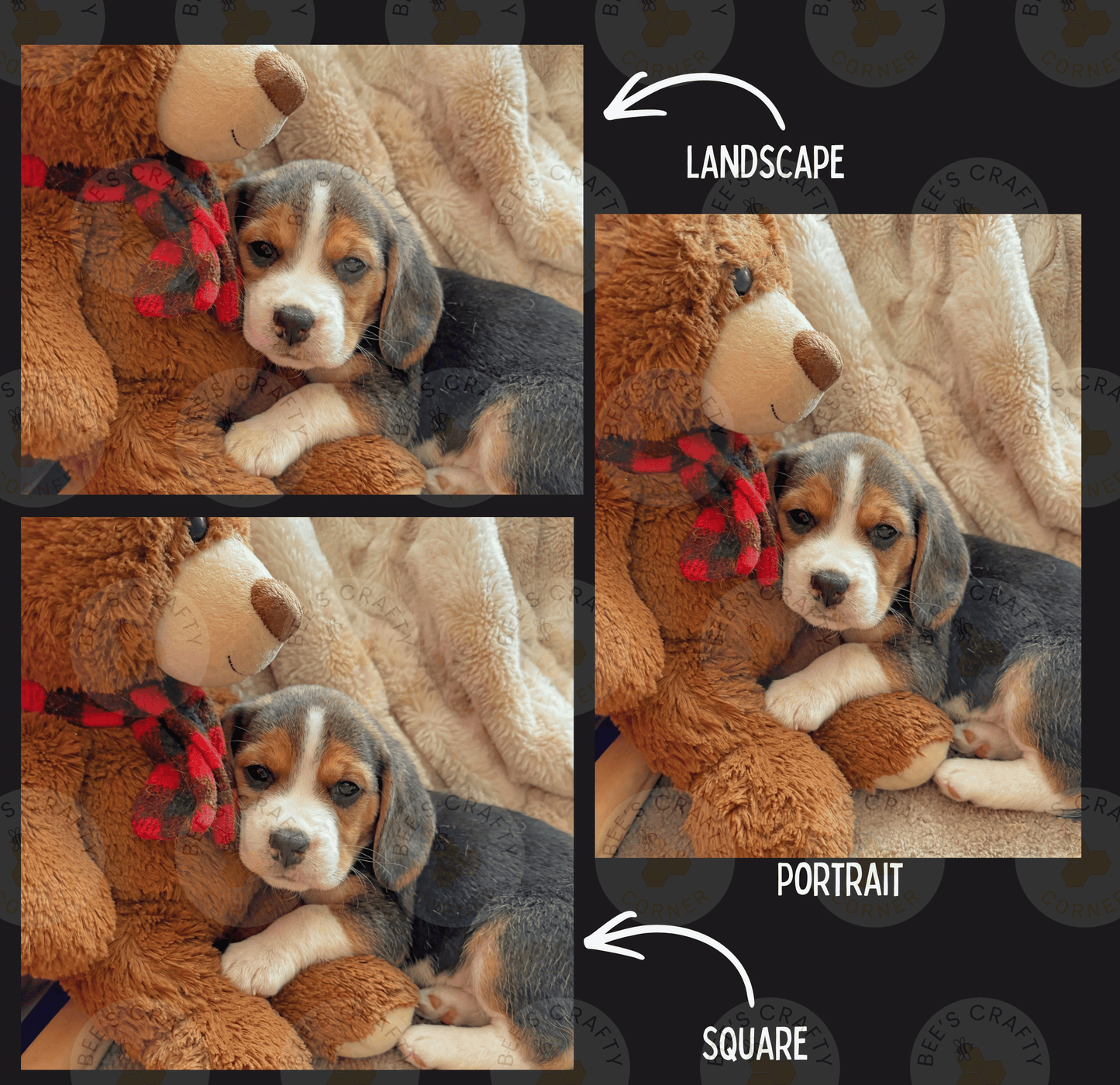 The image is a collage of three photos featuring a small puppy cuddling with a large stuffed teddy bear. The puppy is lying on a blanket, and the teddy bear is positioned behind the puppy. The collage includes a landscape photo, a portrait photo, and a square photo, all depicting the puppy and the teddy bear in a cozy and affectionate manner.
