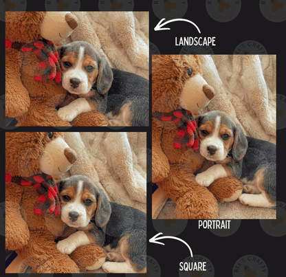 The image is a collage of three photos featuring a small puppy cuddling with a large stuffed teddy bear. The puppy is lying on a blanket, and the teddy bear is positioned behind the puppy. The collage includes a landscape photo, a portrait photo, and a square photo, all depicting the puppy and the teddy bear in a cozy and affectionate manner.