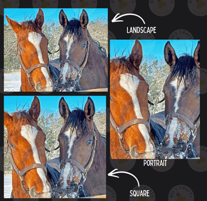 The image is a collage of three photos featuring two horses, with a focus on their faces and expressions.
