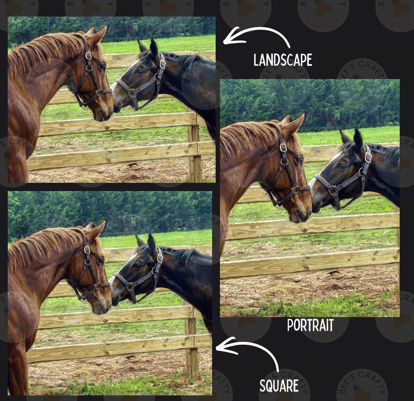 The image is a collage of three photos depicting horses in different settings: a landscape, a portrait, and a square.