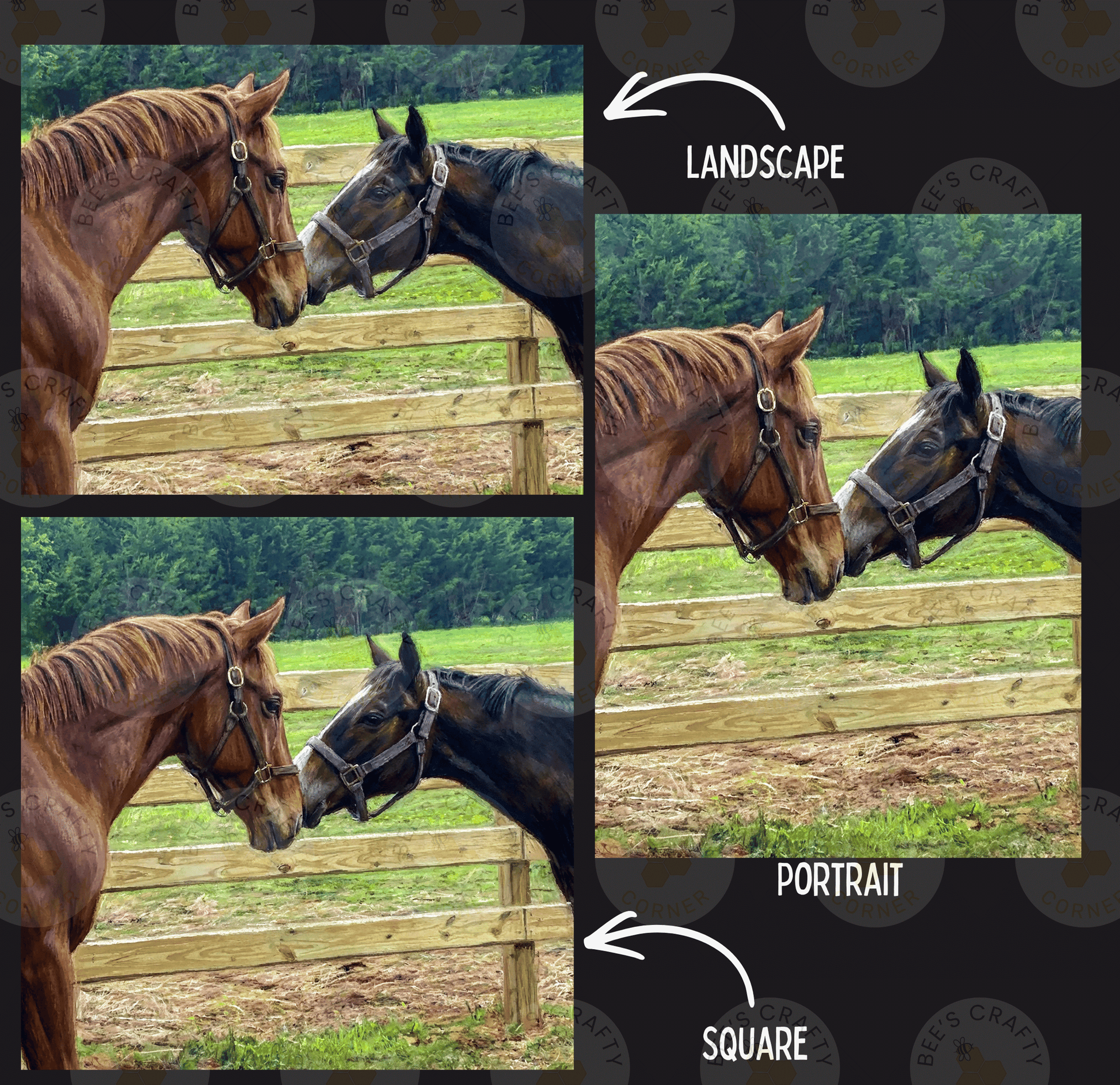 The image is a collage of three photos depicting horses in different settings: a landscape, a portrait, and a square.