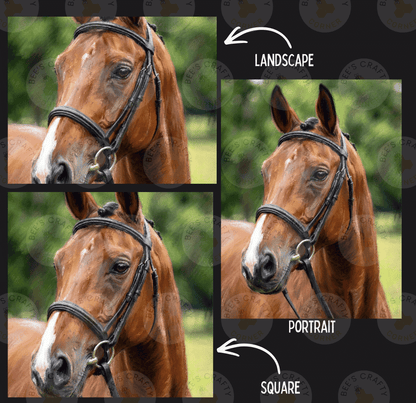 The image is a collage of three images depicting a horse, with the first image showing the horse's head, the second image showing the horse's face, and the third image showing the horse's neck.