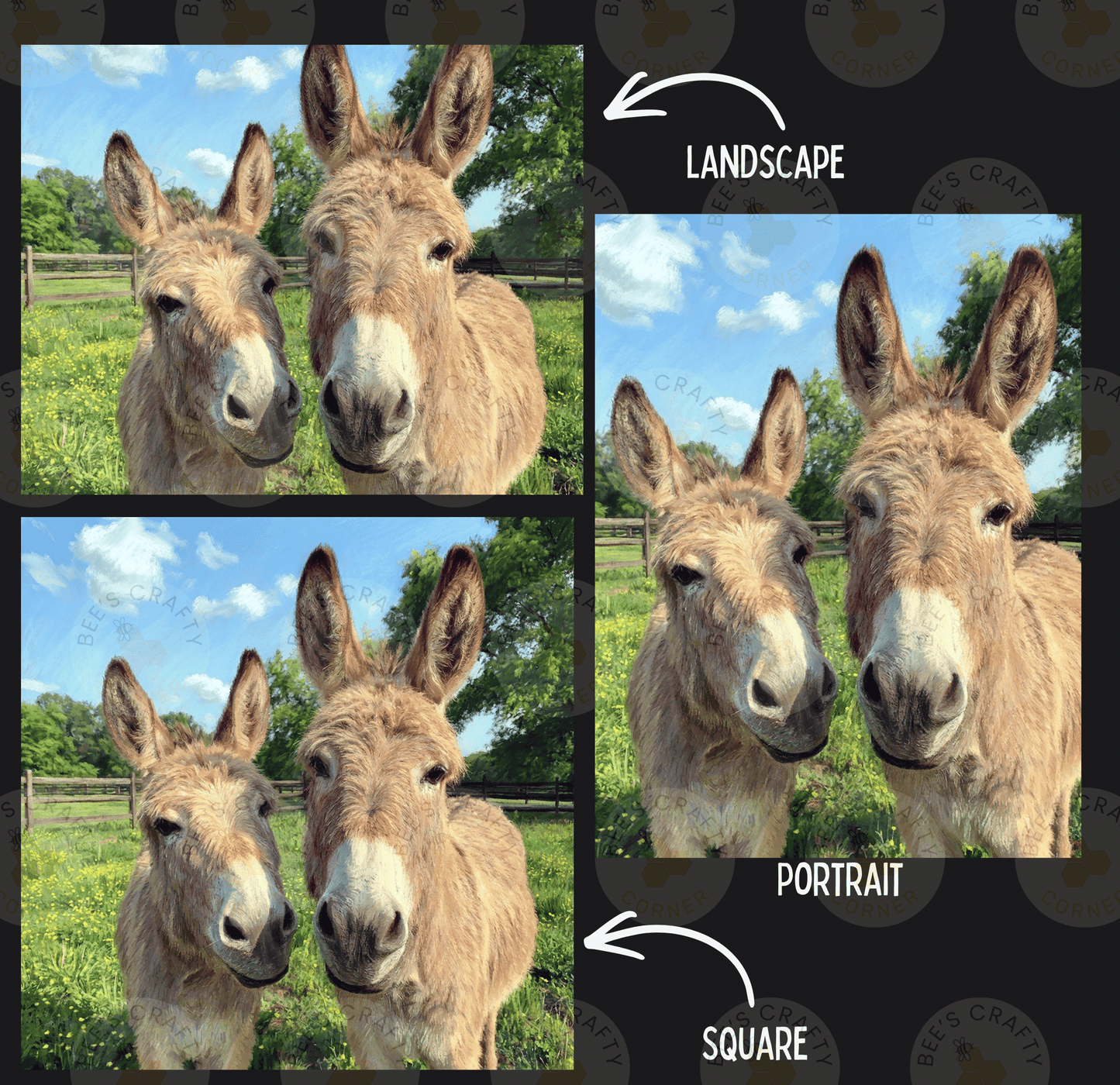The image is a collage of four photos featuring two donkeys in a field. The collage includes three square images of the donkeys and a landscape image. The donkeys are shown in different poses, and the landscape image is overlaid on the donkeys' portraits, indicating that the collage is a portrait of the donkeys.