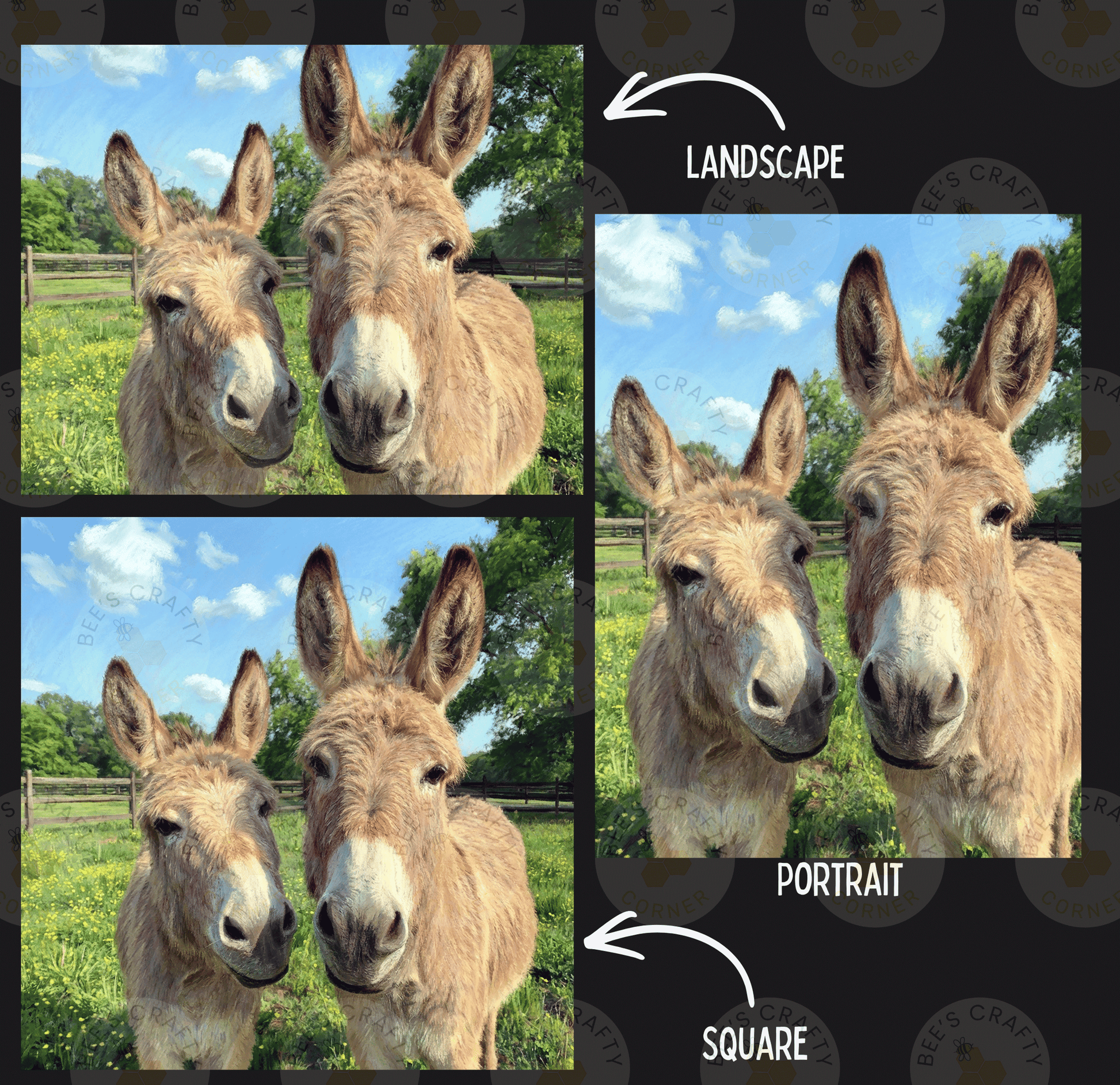The image is a collage of four photos featuring two donkeys in a field. The collage includes three square images of the donkeys and a landscape image. The donkeys are shown in different poses, and the landscape image is overlaid on the donkeys' portraits, indicating that the collage is a portrait of the donkeys.