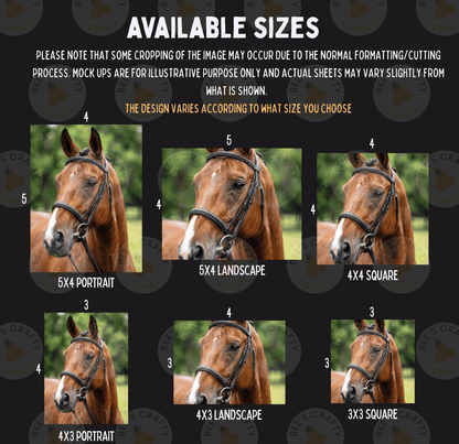 The image is a collage of six images showing different sizes of horse headgear, including a 5x4 portrait, 5x4 landscape, 4x3 square, 4x3 portrait, and 3x3 square.
