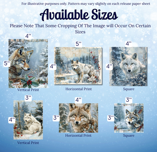 The image is a collection of six different sizes of wolf paintings, each depicting a wolf in a snowy forest setting.