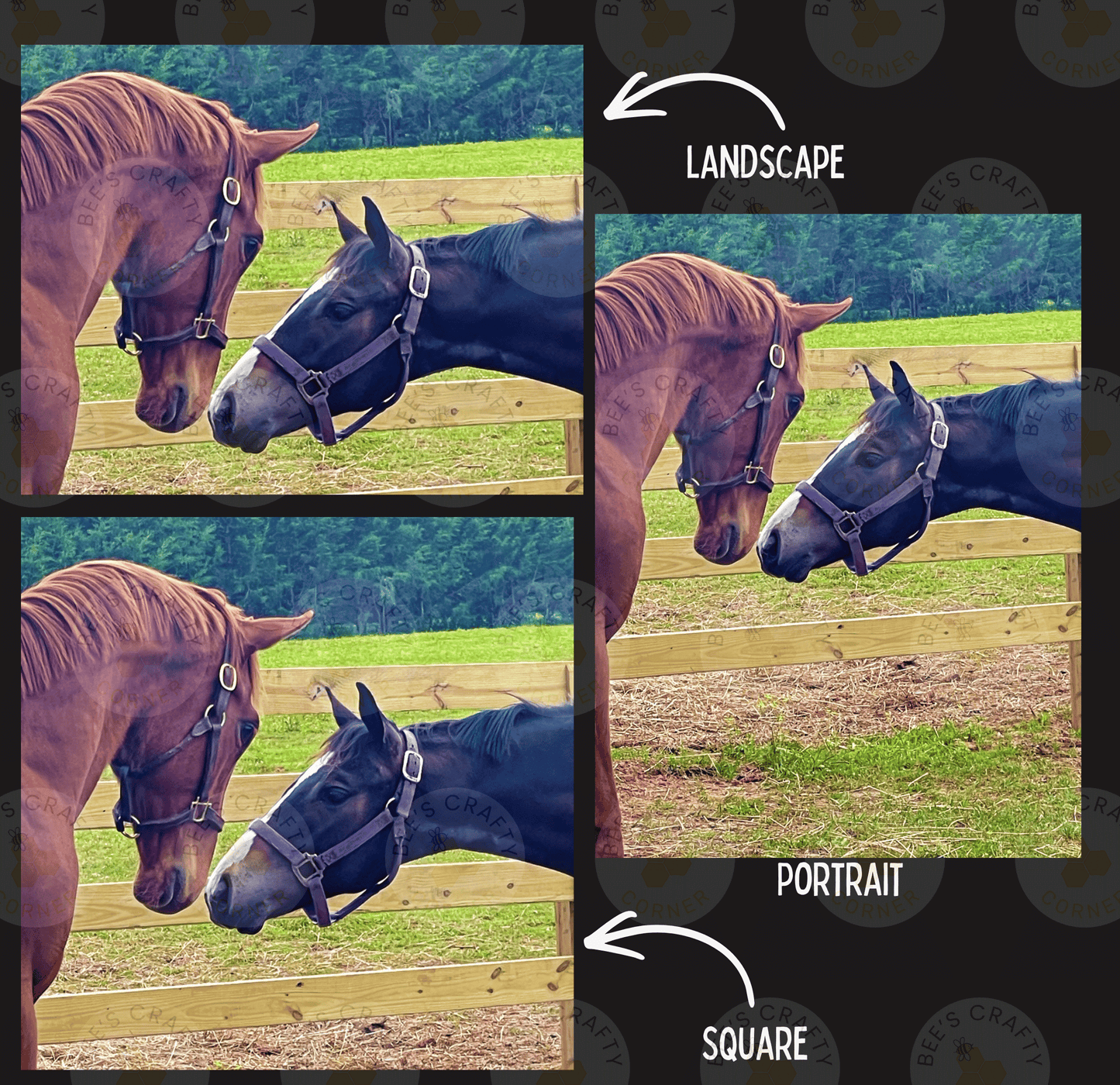 The image is a collage of three photos depicting horses in different poses and settings, including a landscape and two portraits.