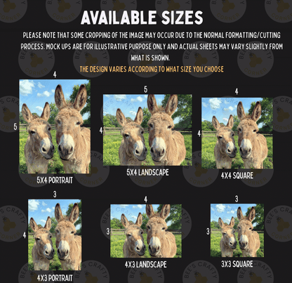 The image is a collage of six different sizes of images featuring two donkeys in various poses and settings, including a 5x4 portrait, a 5x4 landscape, a 4x3 square, a 4x3 portrait, a 4x3 landscape, and a 3x3 square.