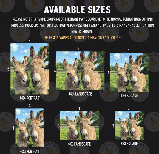 The image is a collage of six different sizes of images featuring two donkeys in various poses and settings, including a 5x4 portrait, a 5x4 landscape, a 4x3 square, a 4x3 portrait, a 4x3 landscape, and a 3x3 square.