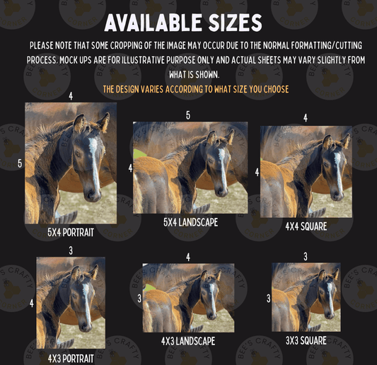 The image is a collage of six different sizes of the same horse portrait, with the sizes ranging from 5x5 to 5x7.