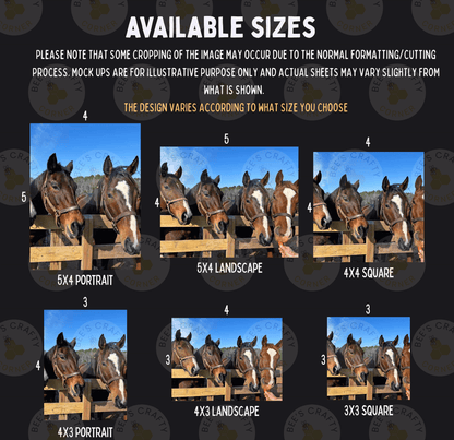 The image is a collage of six different sizes of horses, each with a unique composition and framing. The horses are arranged in a grid format, with three rows and four columns. The sizes of the horses vary, ranging from small to large, and the images are designed to showcase the horses in different poses and settings.
