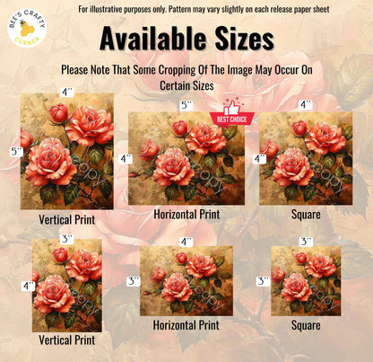 RELEASE PAPER | My Amas Roses by Jorge Urbina - Licensed Release Papers