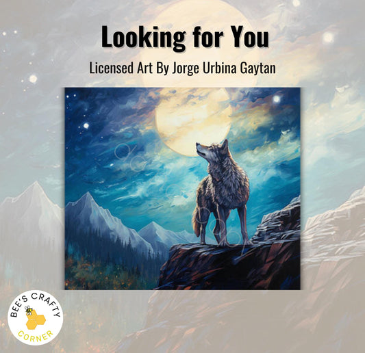 RELEASE PAPER | Looking For You by Jorge Urbina - Licensed Release Papers