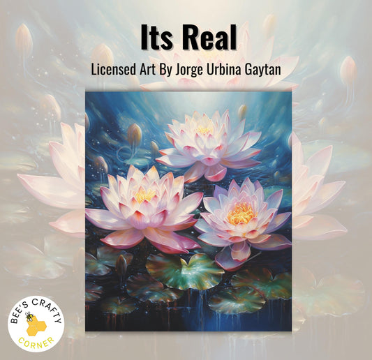 RELEASE PAPER | Its Real by Jorge Urbina - Licensed Release Papers