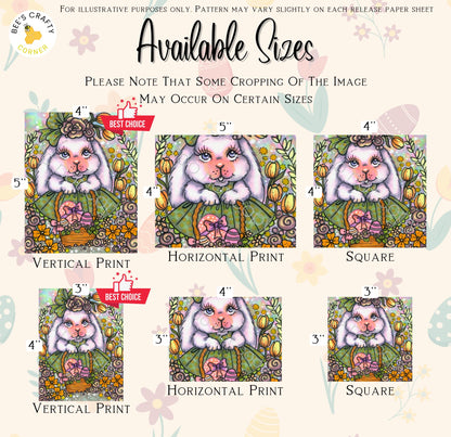 RELEASE PAPER | Cecily by Regan Kubecek - Licensed Release Papers