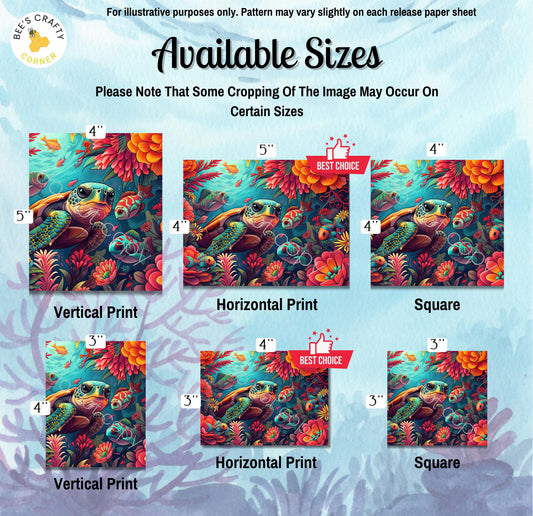 RELEASE PAPER | Eden Cove - Toughy - by Romantz Art | Licensed Release Papers